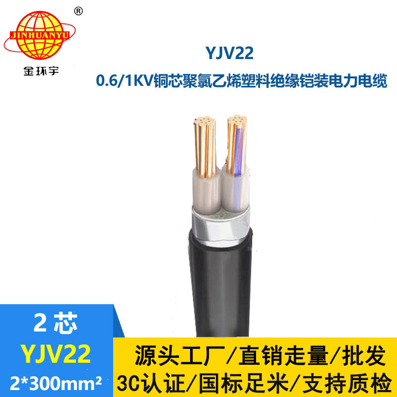 金環宇電線電纜 二芯電力電纜 YJV22 2X300平方 銅芯 地埋鎧裝電纜